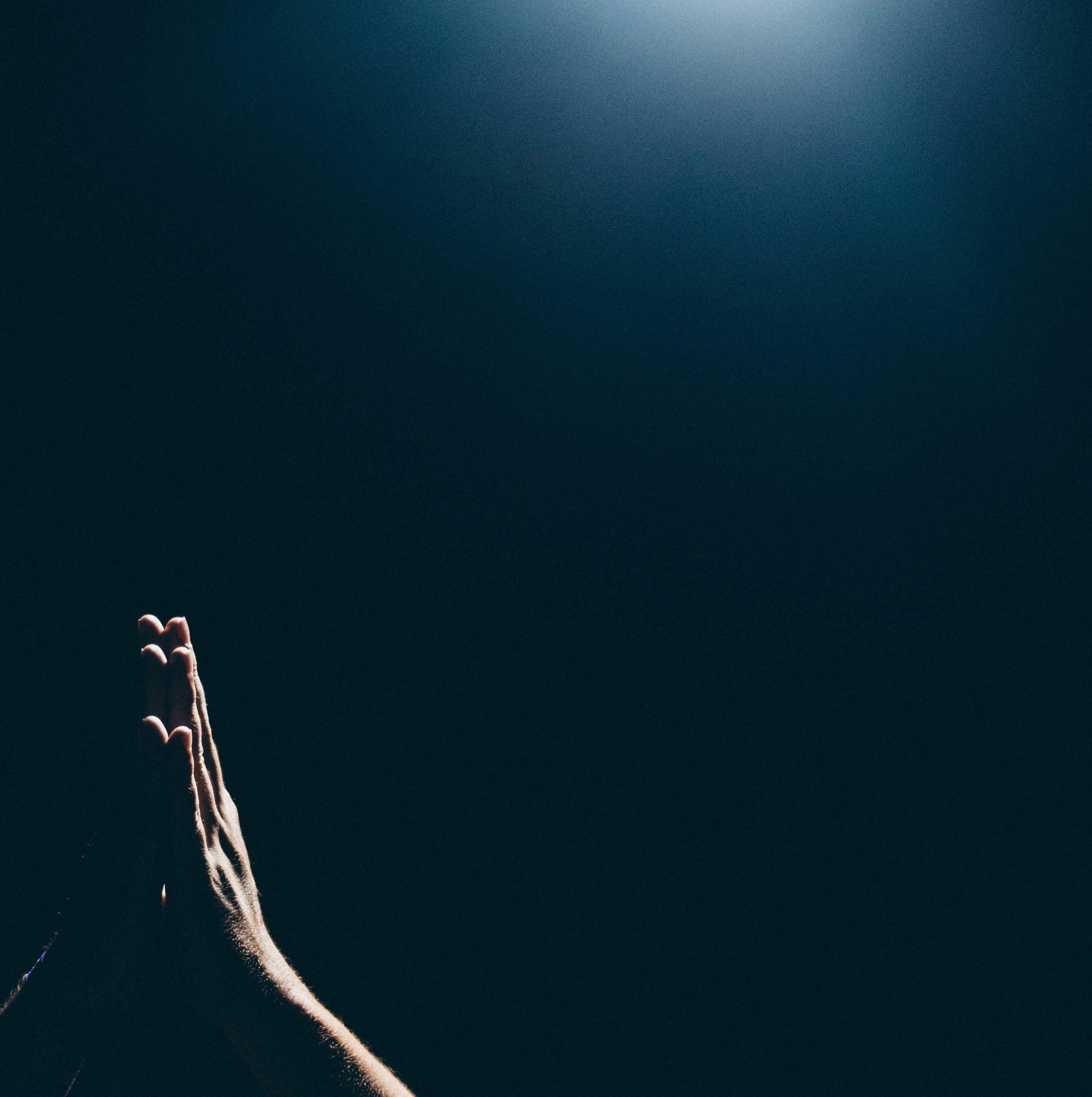 Danos hoy nuestro pan de cada día--unsplash